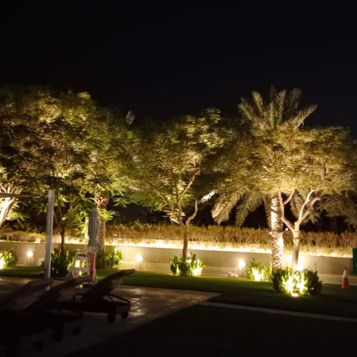 WhatsApp Image 2022-08-07 at 3.07.00 AM