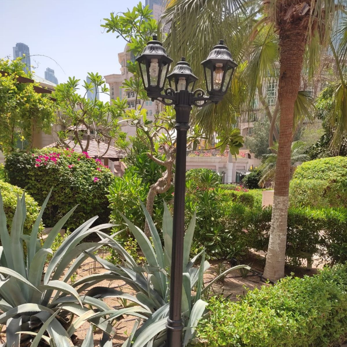 WhatsApp Image 2022-10-29 at 15.31.10